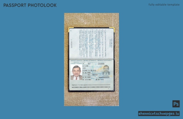 Moldawien-Pass-Foto-Beispielvorschau